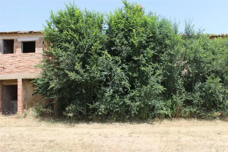 Rustico/Casale in vendita a Marsciano - foto 2