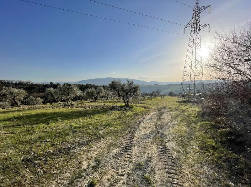 Rustico/Casale in vendita a Montefalco - foto 3