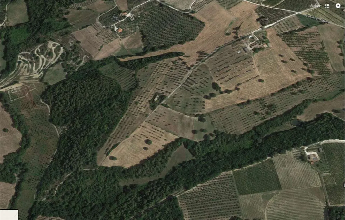Rustico/Casale in vendita a Montefalco - foto 4