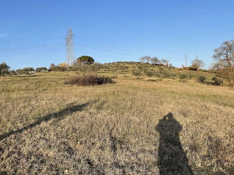 Rustico/Casale in vendita a Montefalco - foto 5