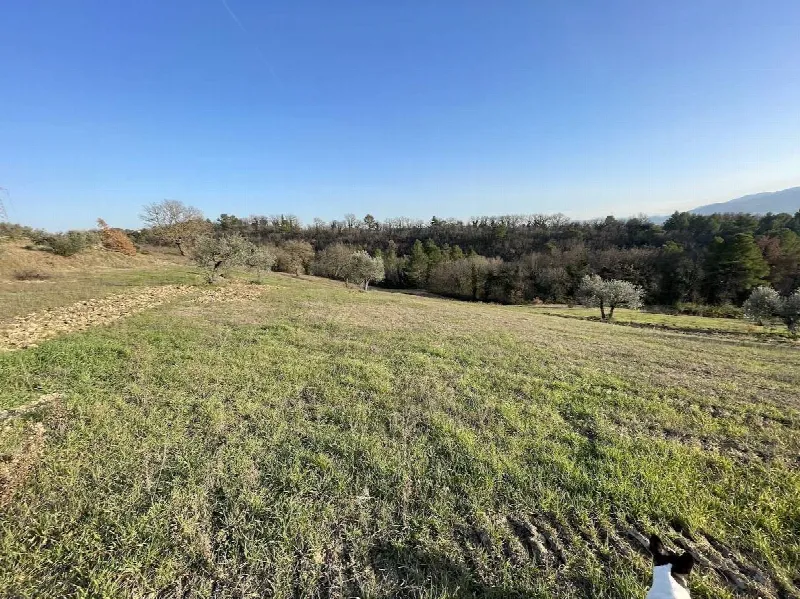 Rustico/Casale in vendita a Montefalco - foto 6