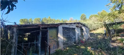 Appartamento in vendita a Campello sul Cli... - foto 6
