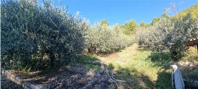 Appartamento in vendita a Campello sul Cli... - foto 7