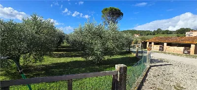 Rustico/Casale in vendita a Perugia - foto 8