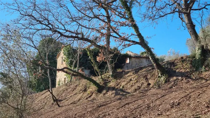 Rustico/Casale in vendita a Marsciano - foto 10