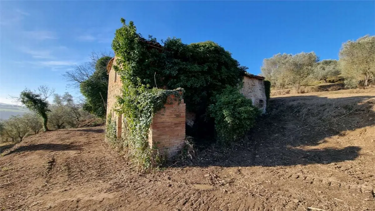Rustico/Casale in vendita a Marsciano - foto 3