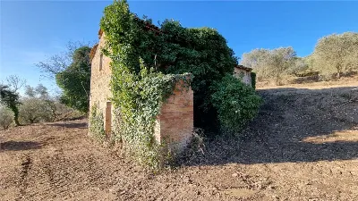Rustico/Casale in vendita a Marsciano - foto 7