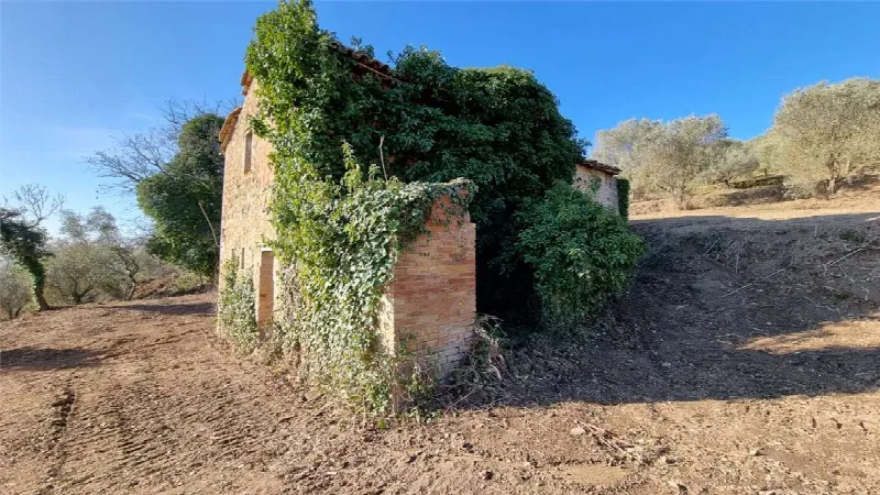 Rustico/Casale in vendita a Marsciano - foto 7