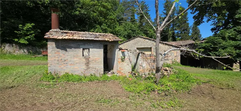 Rustico/Casale in vendita a Umbertide - foto 9