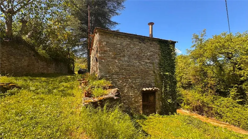 Rustico/Casale in vendita a Città di Castello - foto 10
