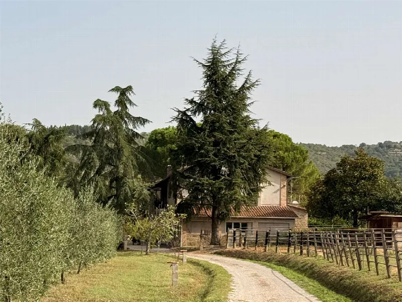 Rustico/Casale in vendita a Magione - foto 1