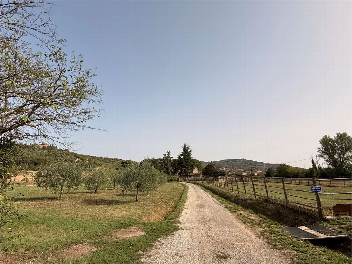 Rustico/Casale in vendita a Magione - foto 2
