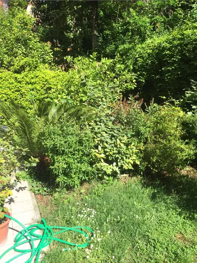 Appartamento in vendita a Frosinone - foto 10