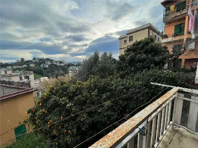 Appartamento in vendita a Frosinone - foto 2