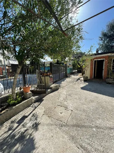 Casa Indipendente in vendita a Frosinone - foto 4