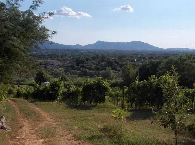 Rustico/Casale in vendita a Capannori - foto 10