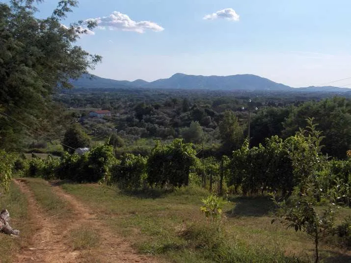 Rustico/Casale in vendita a Capannori - foto 10