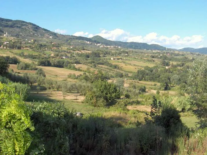 Rustico/Casale in vendita a Capannori - foto 6