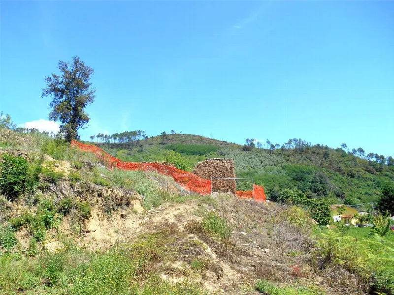 Rustico/Casale in vendita a Capannori - foto 7
