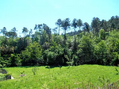 Rustico/Casale in vendita a Capannori - foto 8