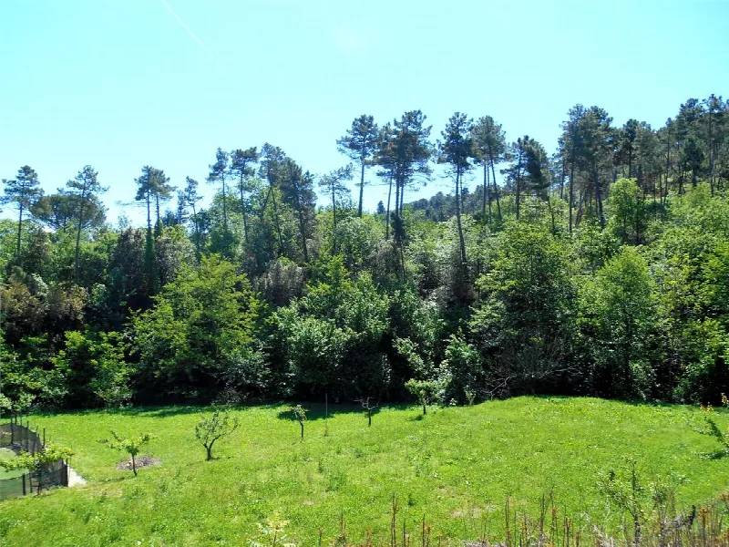 Rustico/Casale in vendita a Capannori - foto 8