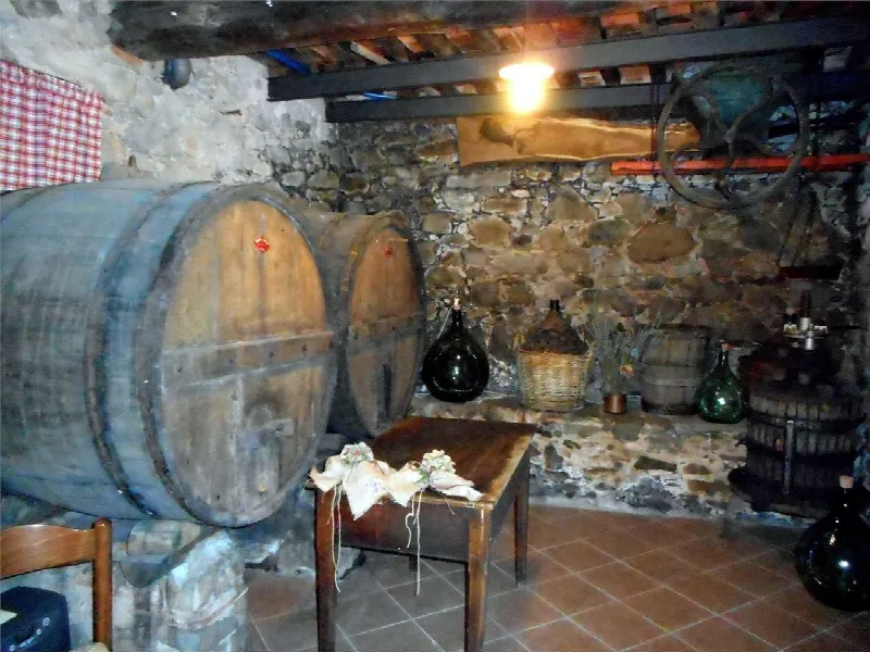 Rustico/Casale in vendita a Bagni di Lucca - foto 8