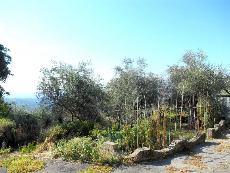 Casa Indipendente in vendita a Capannori - foto 5