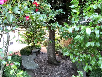 Villa in vendita a Pescia - foto 6