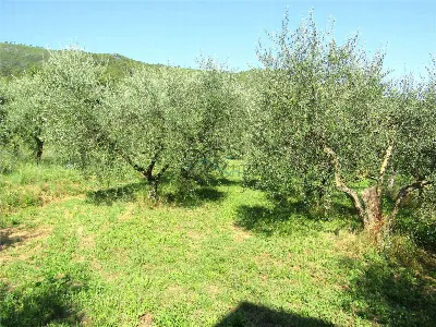 Villa in vendita a Capannori - foto 8
