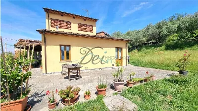 Rustico/Casale in vendita a Montecarlo - foto 3