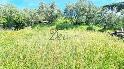 Rustico/Casale in vendita a Montecarlo - foto 4