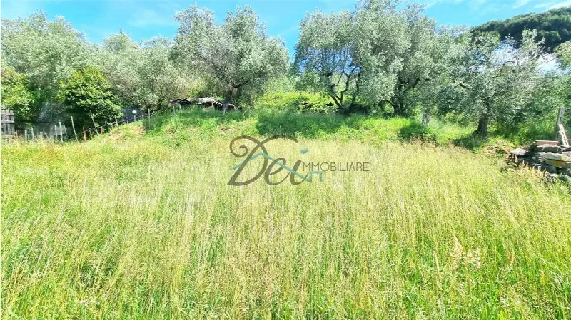 Rustico/Casale in vendita a Montecarlo - foto 4