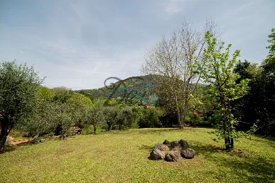 Rustico/Casale in vendita a Camaiore - foto 3