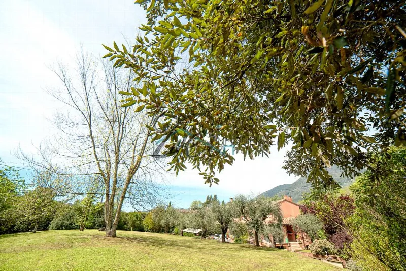 Rustico/Casale in vendita a Camaiore - foto 5