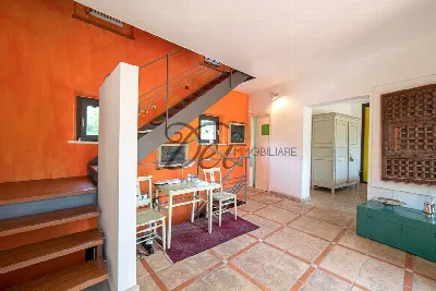 Rustico/Casale in vendita a Camaiore - foto 7