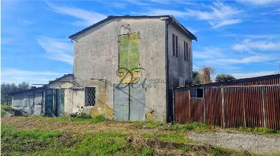 Rustico/Casale in vendita a Lucca, Santiss... - foto 4