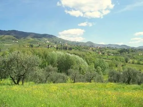 Villa in vendita a Capannori - foto 1