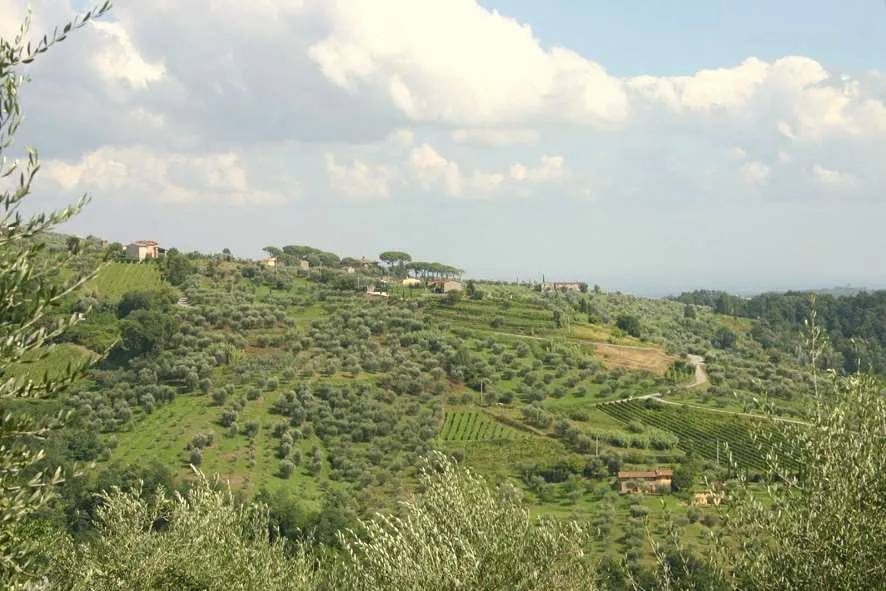 Villa in vendita a Capannori - foto 2