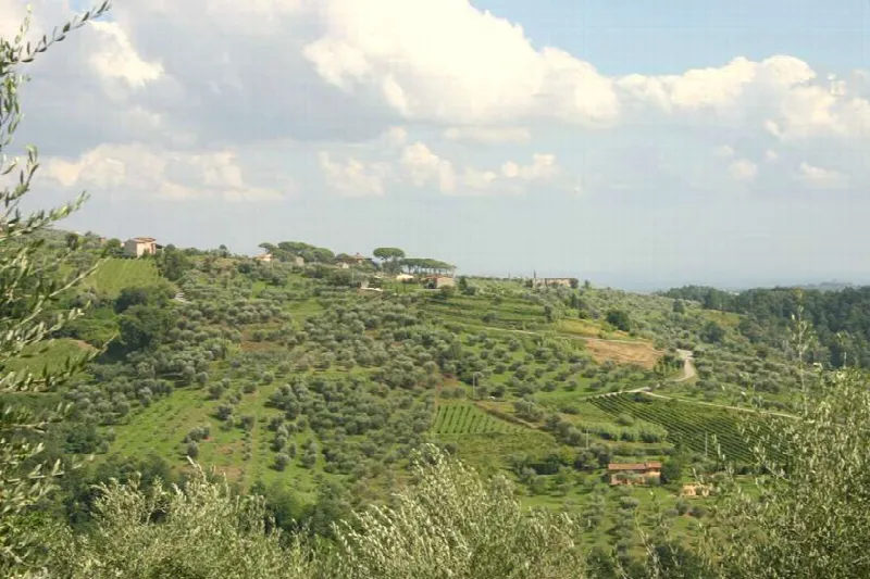 Villa in vendita a Capannori - foto 2