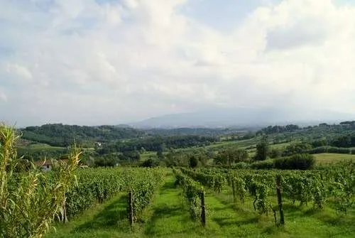 Villa in vendita a Capannori - foto 4