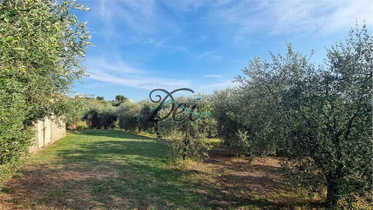 Rustico/Casale in vendita a Montecarlo - foto 5