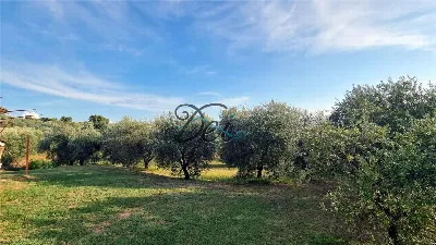 Rustico/Casale in vendita a Montecarlo - foto 7