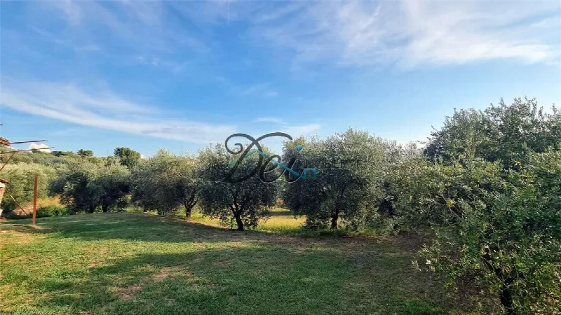 Rustico/Casale in vendita a Montecarlo - foto 7