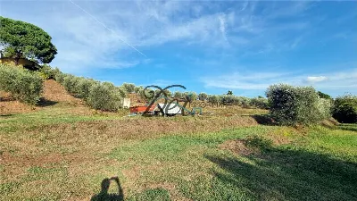 Rustico/Casale in vendita a Montecarlo - foto 9