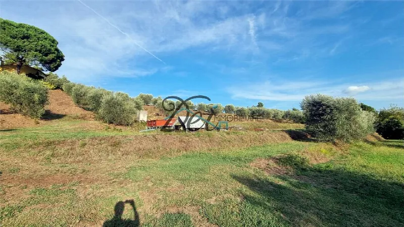 Rustico/Casale in vendita a Montecarlo - foto 9