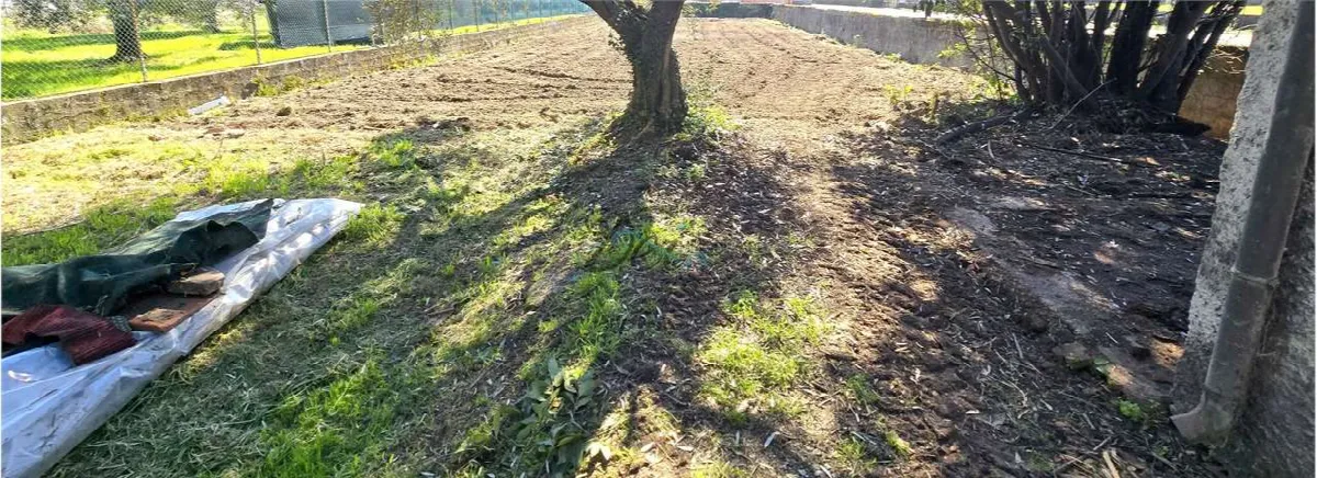 Villa in vendita a Capannori - foto 5