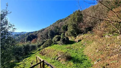 Rustico/Casale in vendita a Borgo a Mozzan... - foto 10