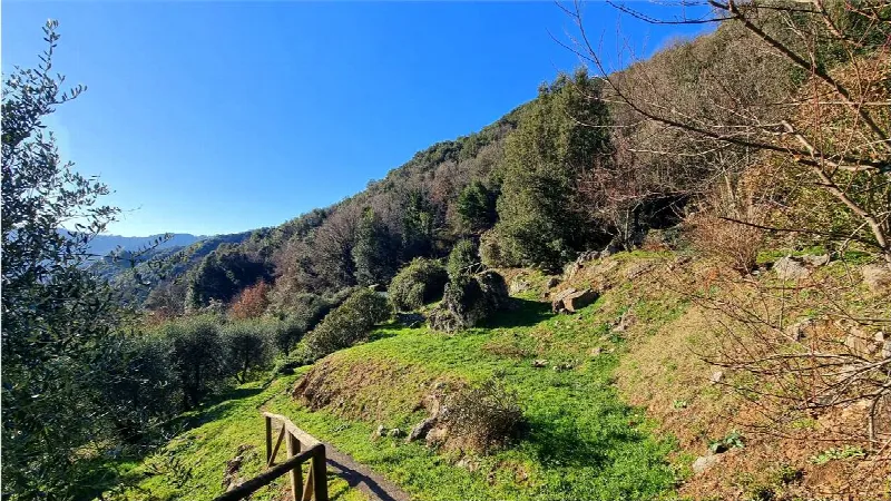 Rustico/Casale in vendita a Borgo a Mozzano - foto 10