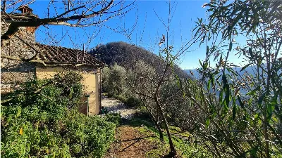 Rustico/Casale in vendita a Borgo a Mozzan... - foto 7