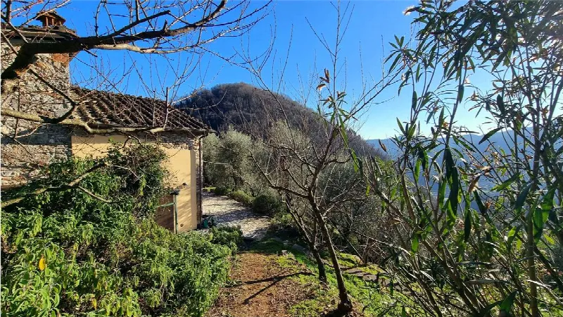Rustico/Casale in vendita a Borgo a Mozzano - foto 7